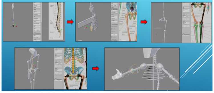 Как создать 3D модель человеческого тела для медицинских нужд